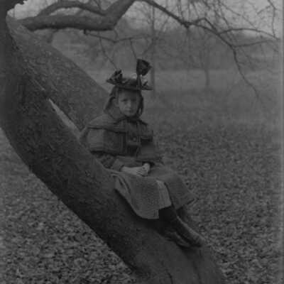 Negative, glass plate