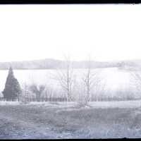 Negative, glass plate