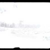 Negative, glass plate