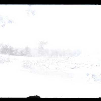 Negative, glass plate