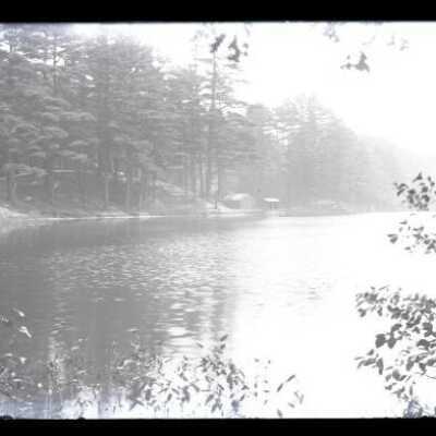 Negative, glass plate