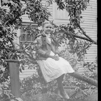 Negative, glass plate