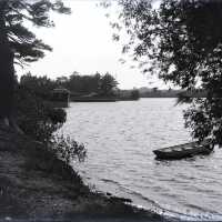 Negative, glass plate