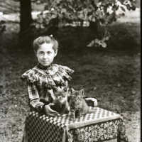 Negative, glass plate