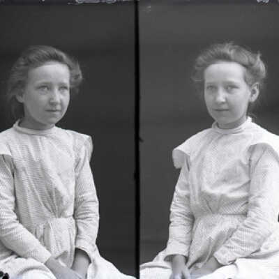 Negative, glass plate