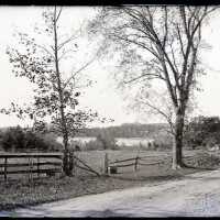 Negative, glass plate