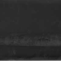 Negative, glass plate