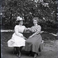 Negative, glass plate