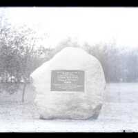 Negative, glass plate