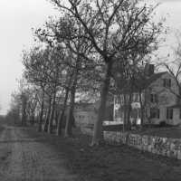 Negative, glass plate
