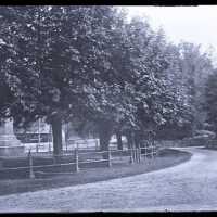Negative, glass plate