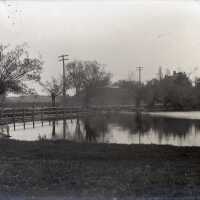 Negative, glass plate