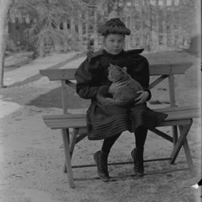 Negative, glass plate