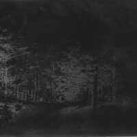 Negative, glass plate