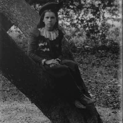 Negative, glass plate