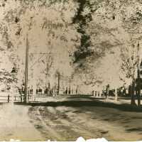 Negative, glass plate