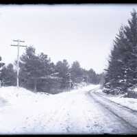 Negative, glass plate