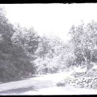 Negative, glass plate