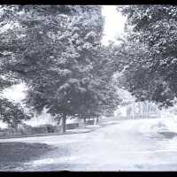 Negative, glass plate