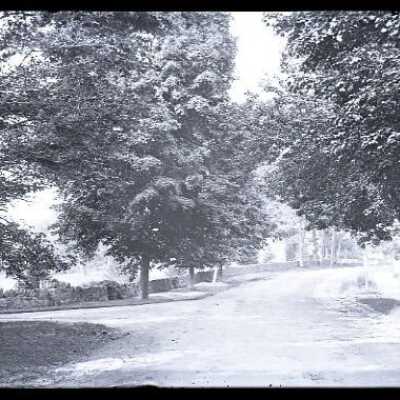Negative, glass plate