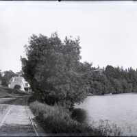 Negative, glass plate