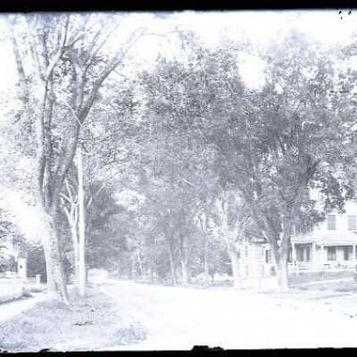 Negative, glass plate
