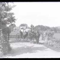 Negative, glass plate