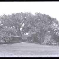 Negative, glass plate