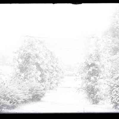 Negative, glass plate