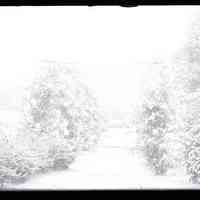 Negative, glass plate
