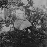 Negative, glass plate