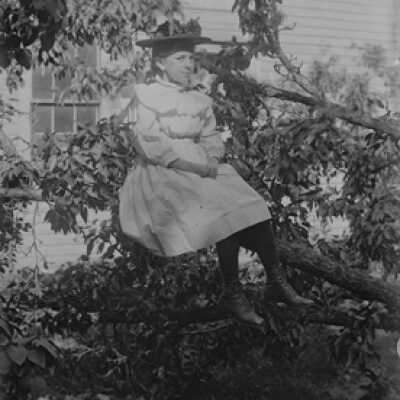 Negative, glass plate