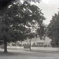 Negative, glass plate