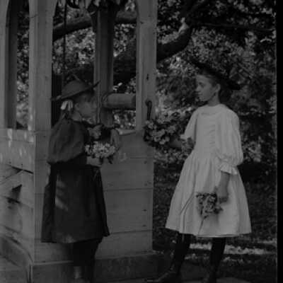 Negative, glass plate