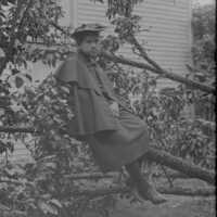 Negative, glass plate
