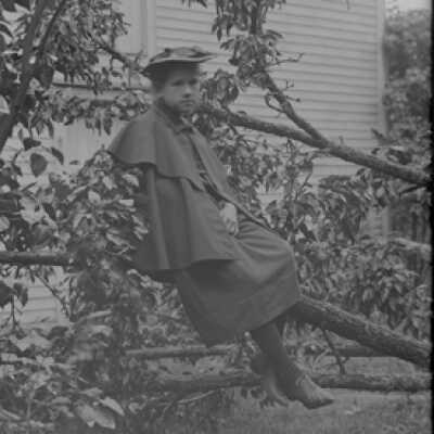 Negative, glass plate