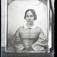Negative, glass plate