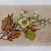 Card, Christmas