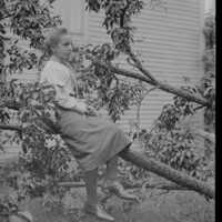 Negative, glass plate