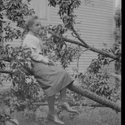 Negative, glass plate