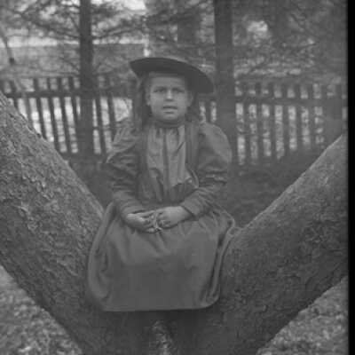 Negative, glass plate