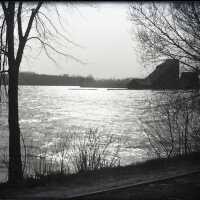 Negative, glass plate