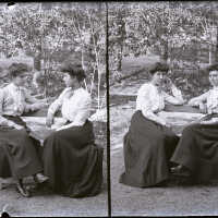 negative, glass plate