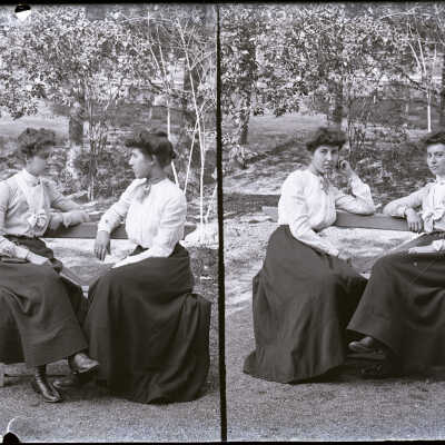 negative, glass plate