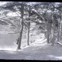 Negative, glass plate