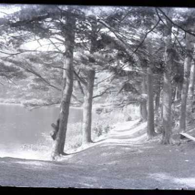 Negative, glass plate