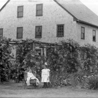 Negative, glass plate