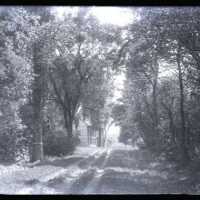 Negative, glass plate