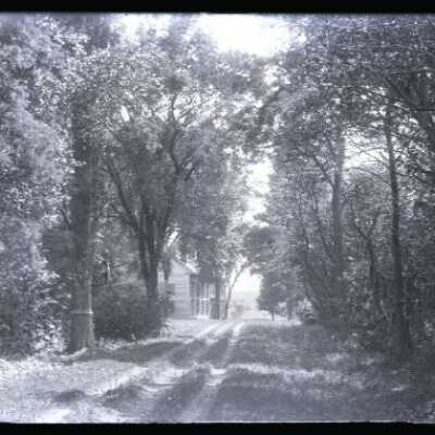 Negative, glass plate