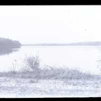 Negative, glass plate